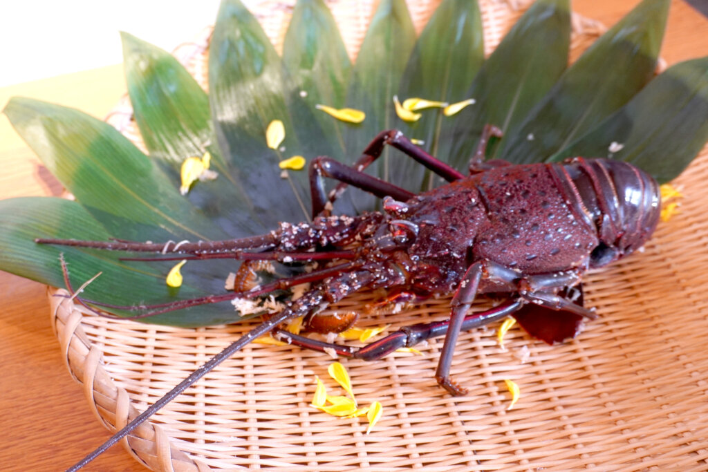イベントレポート】いばらき大使の檜山沙耶さんも登壇！茨城県の新