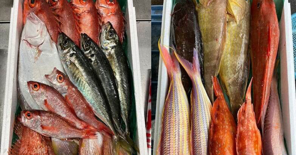 水揚げ不安を背景に、みらいマルシェが小売向け定期配送サービスを開始